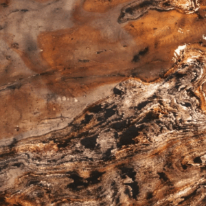 GOYA – Image 2