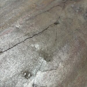 BAUCHANT – Image 3