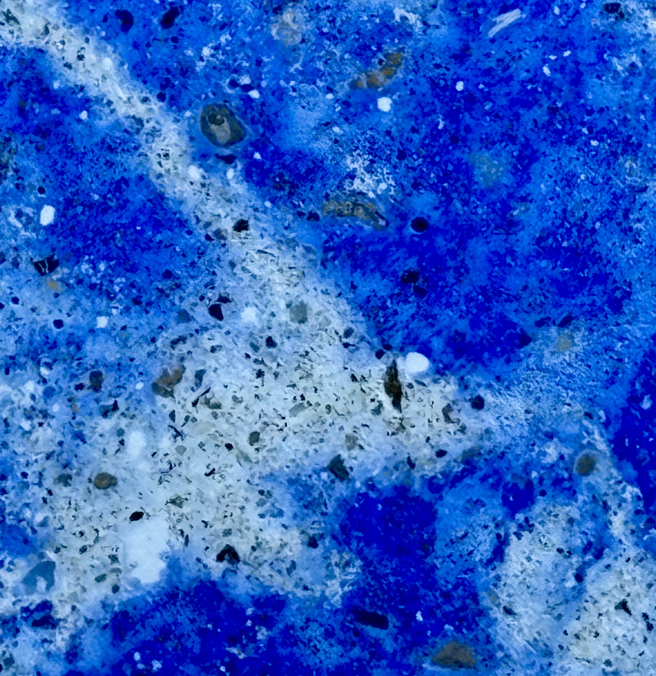 BOURRACHE BRUME – Image 2