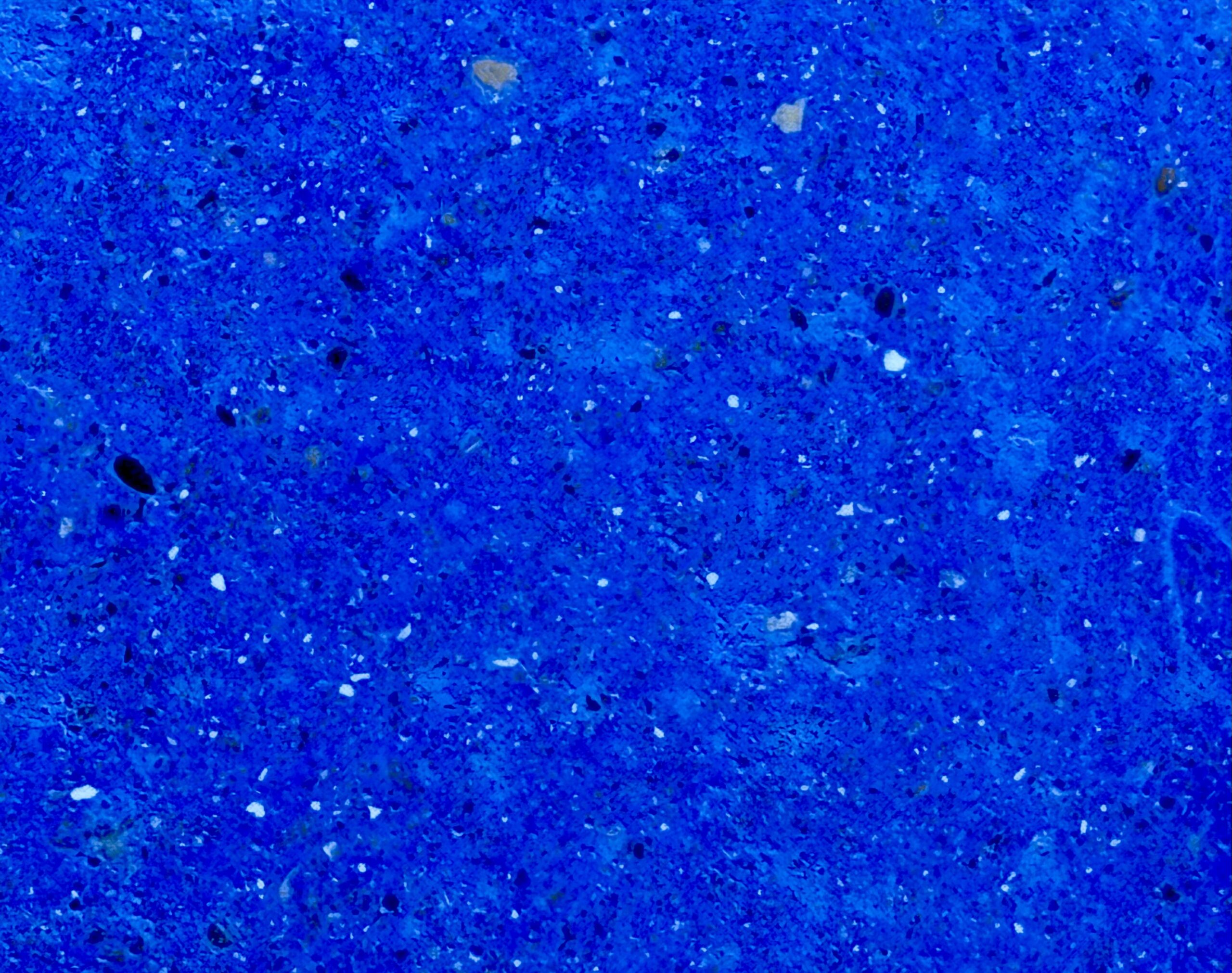 BOURRACHE – Image 2