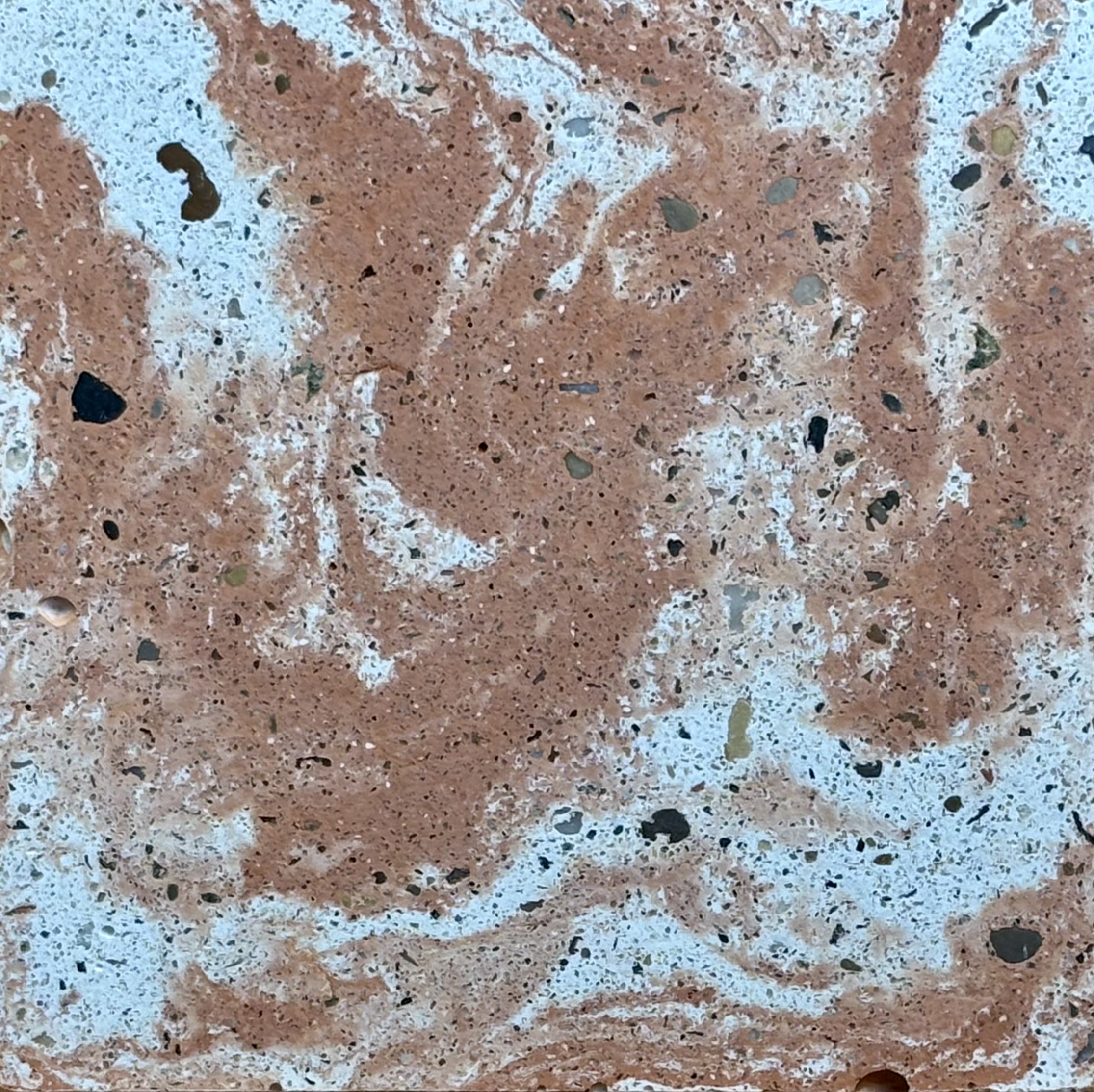 CAPUCINE BRUME – Image 3