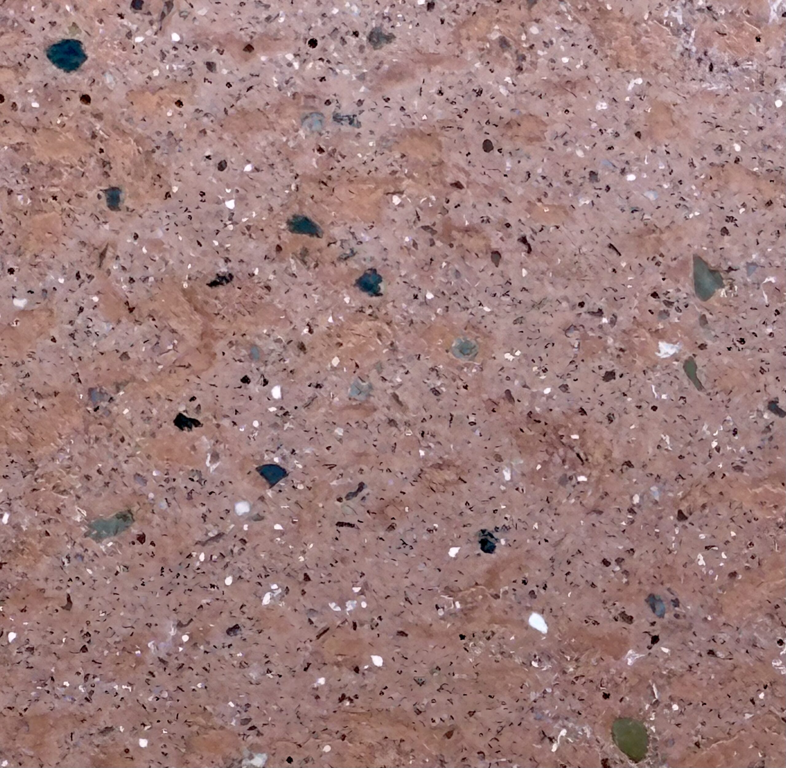 CAPUCINE – Image 2