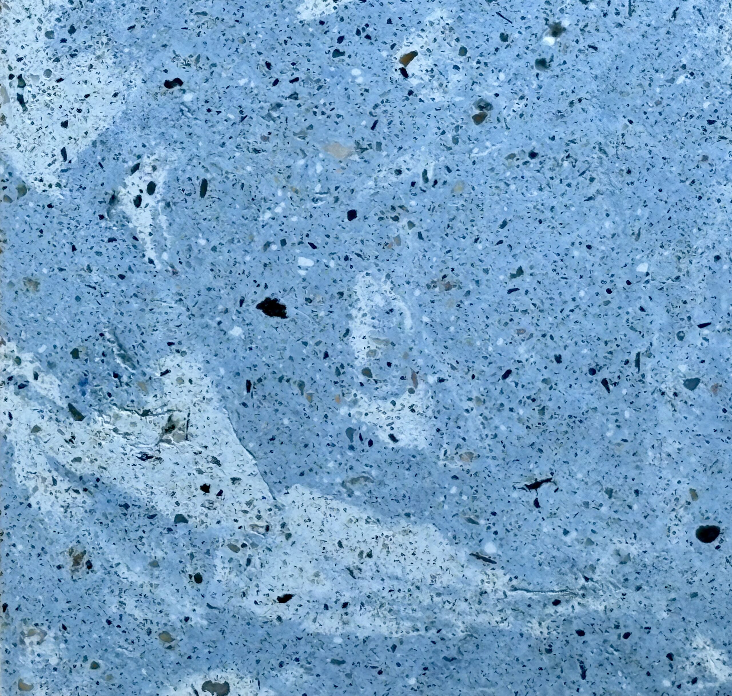 CHICOREE BRUME – Image 2