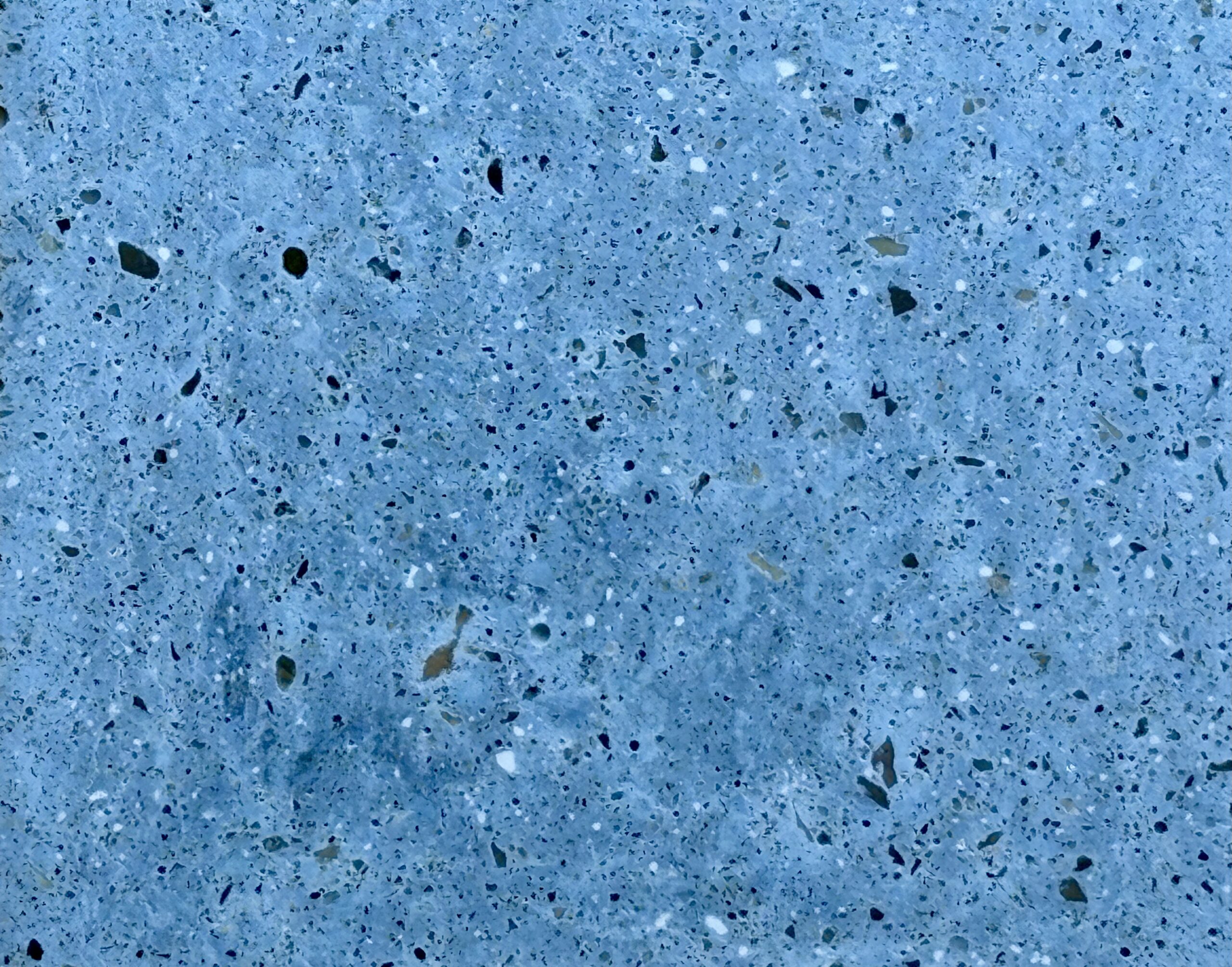 CHICOREE – Image 2