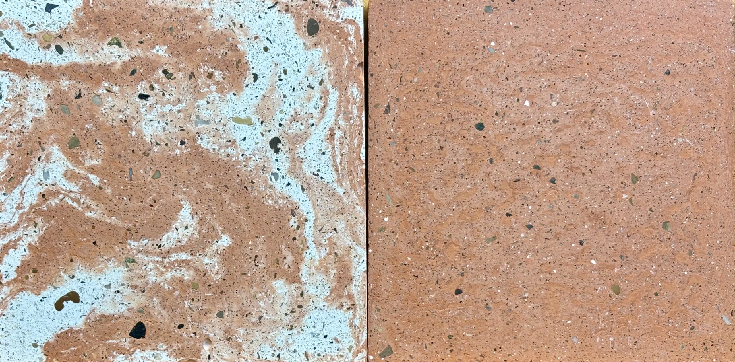 CAPUCINE BRUME – Image 2