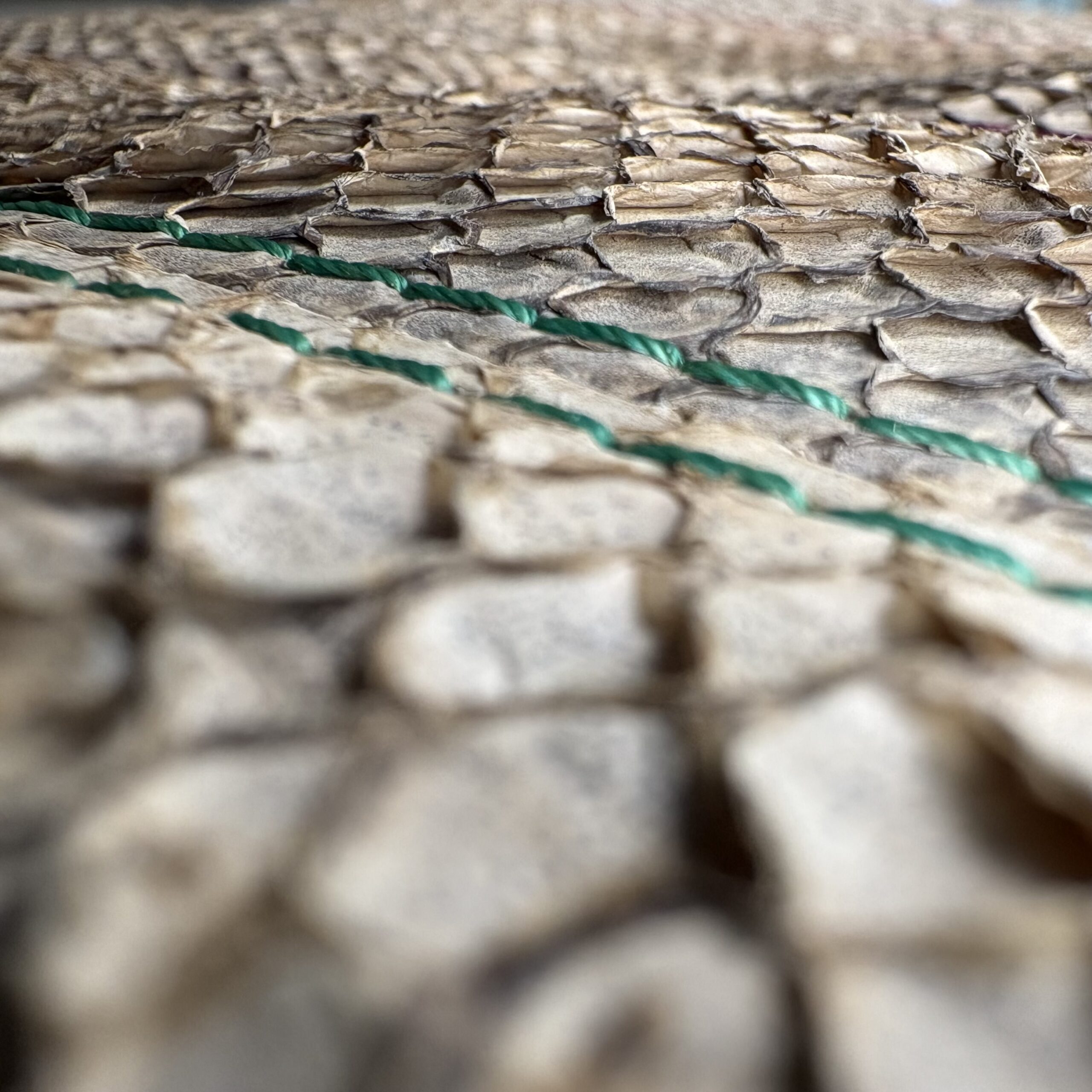 KLYUR - GALATEA – Image 2