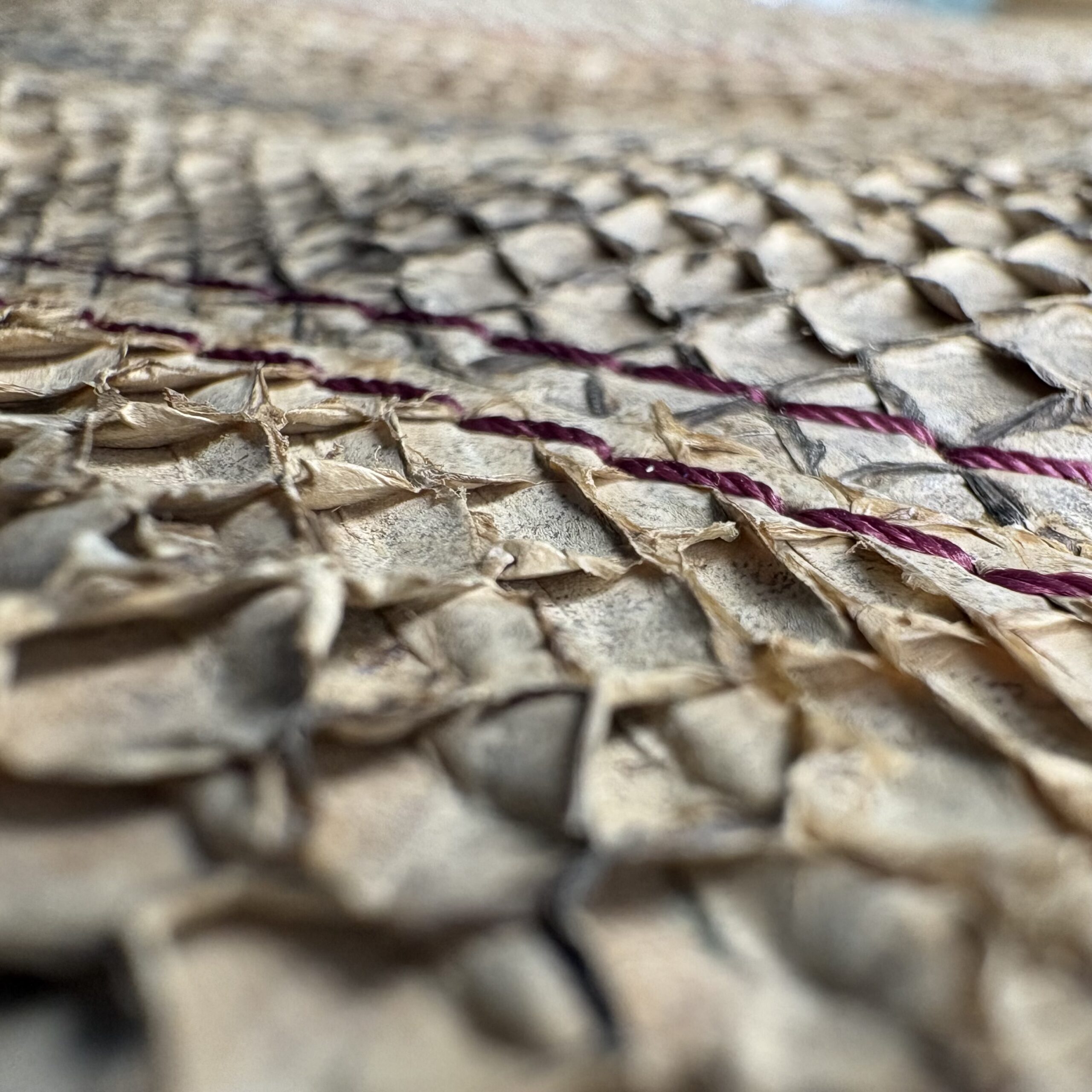 KLYUR - GALATEA – Image 3