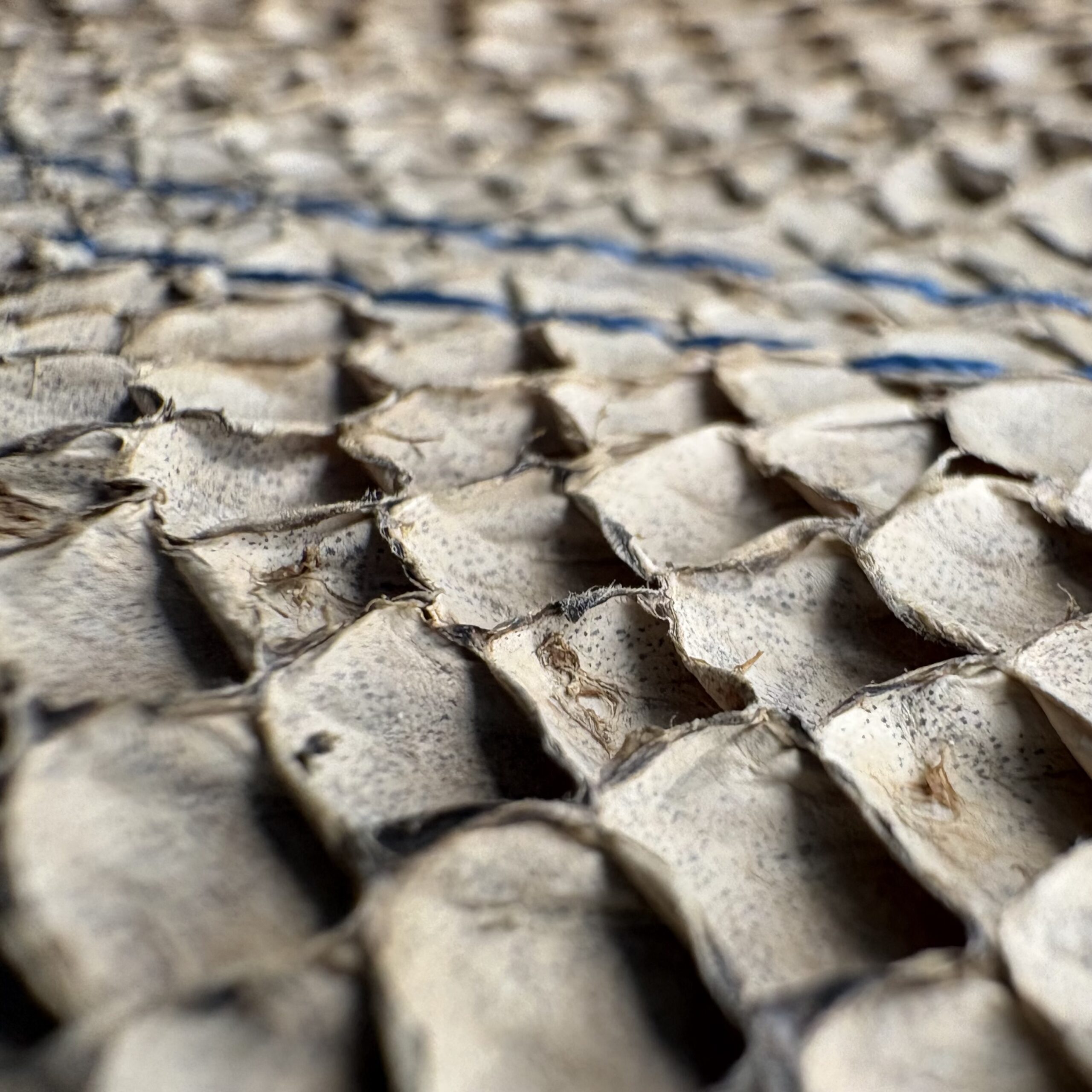 KLYUR - GALATEA – Image 4