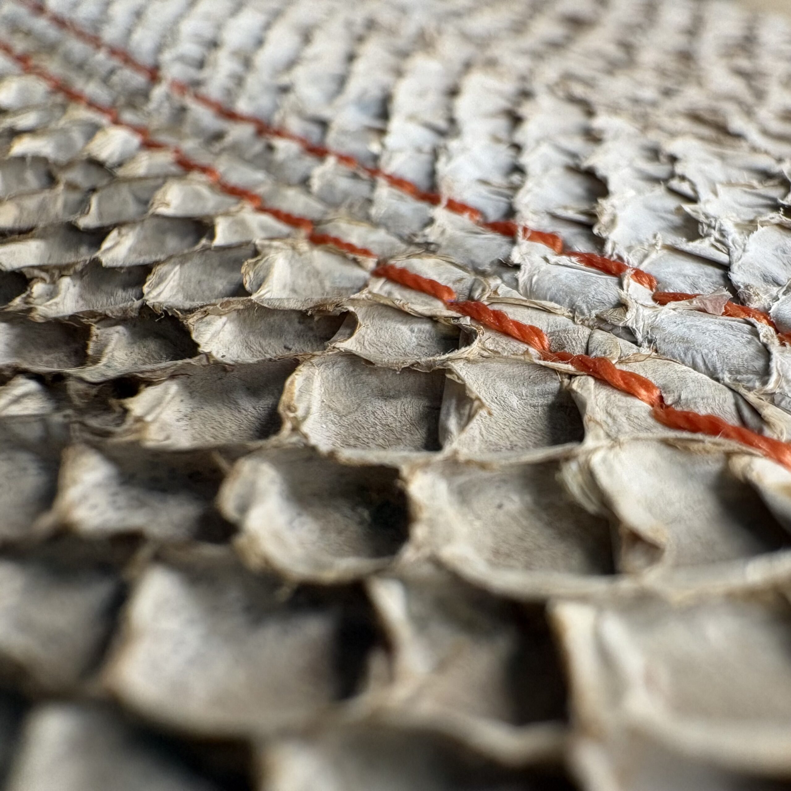 KLYUR - GALATEA – Image 5