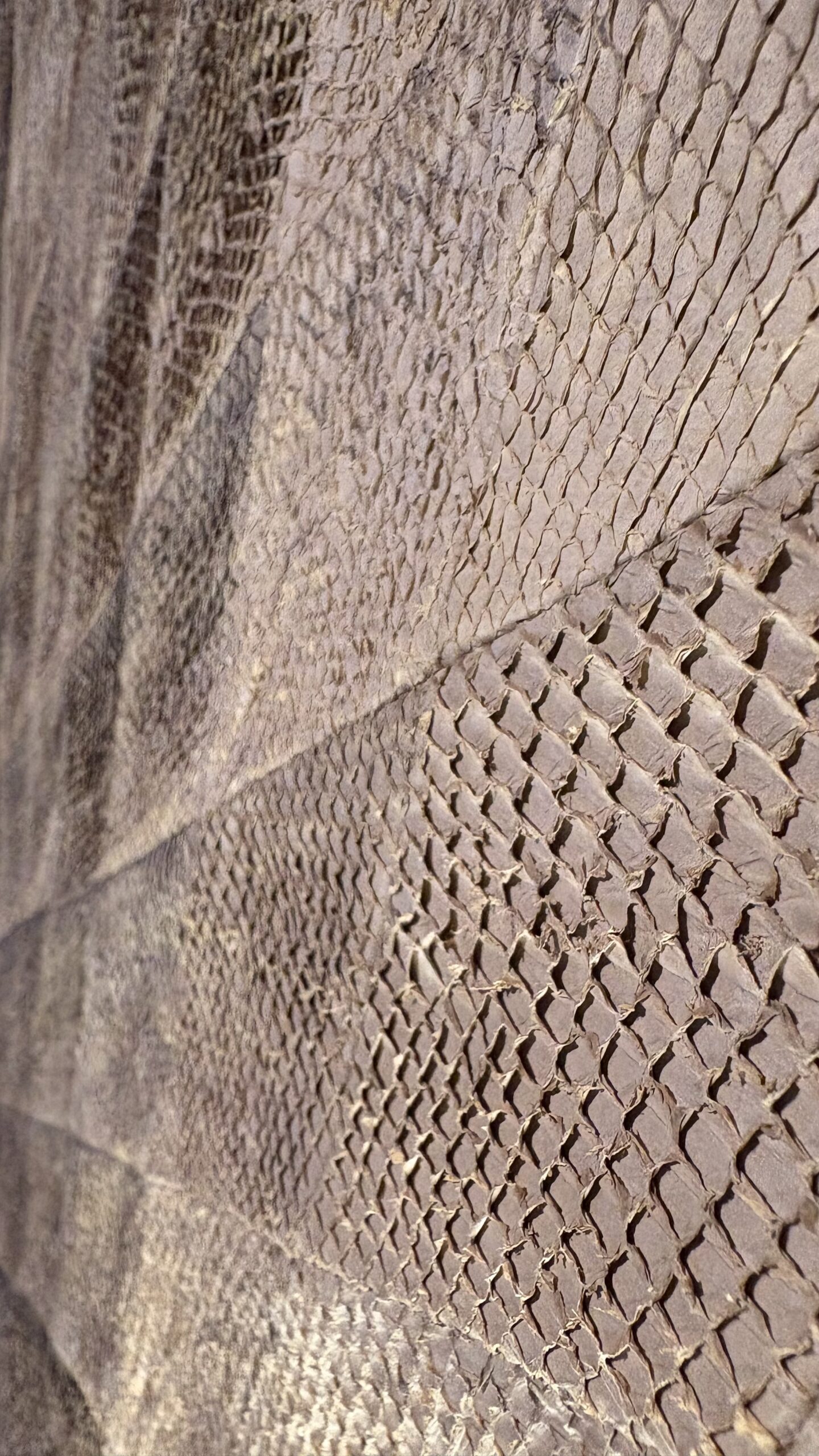 KLYUR - GALATEA – Image 8