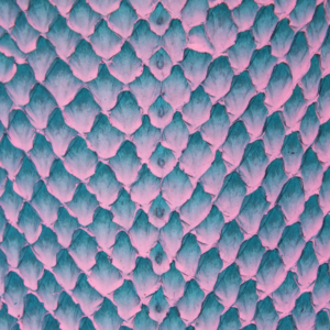 KLYUR - NOS COLORIS DEGRADES